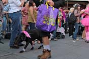 Mystic-Krewe-of-Barkus-2013-1180