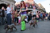 Mystic-Krewe-of-Barkus-2013-1187