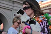 Mystic-Krewe-of-Barkus-2013-1193