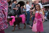 Mystic-Krewe-of-Barkus-2013-1198