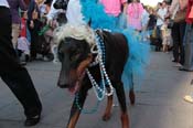 Mystic-Krewe-of-Barkus-2013-1202