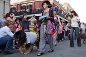 Mystic-Krewe-of-Barkus-2013-1203