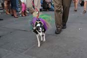 Mystic-Krewe-of-Barkus-2013-1206