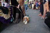 Mystic-Krewe-of-Barkus-2013-1268