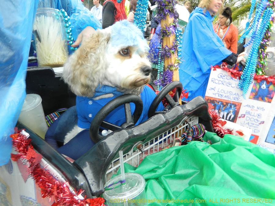 2014-Krewe-of-Barkus-11003