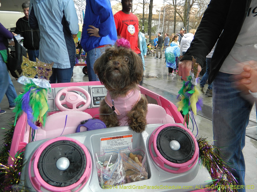 2014-Krewe-of-Barkus-11054