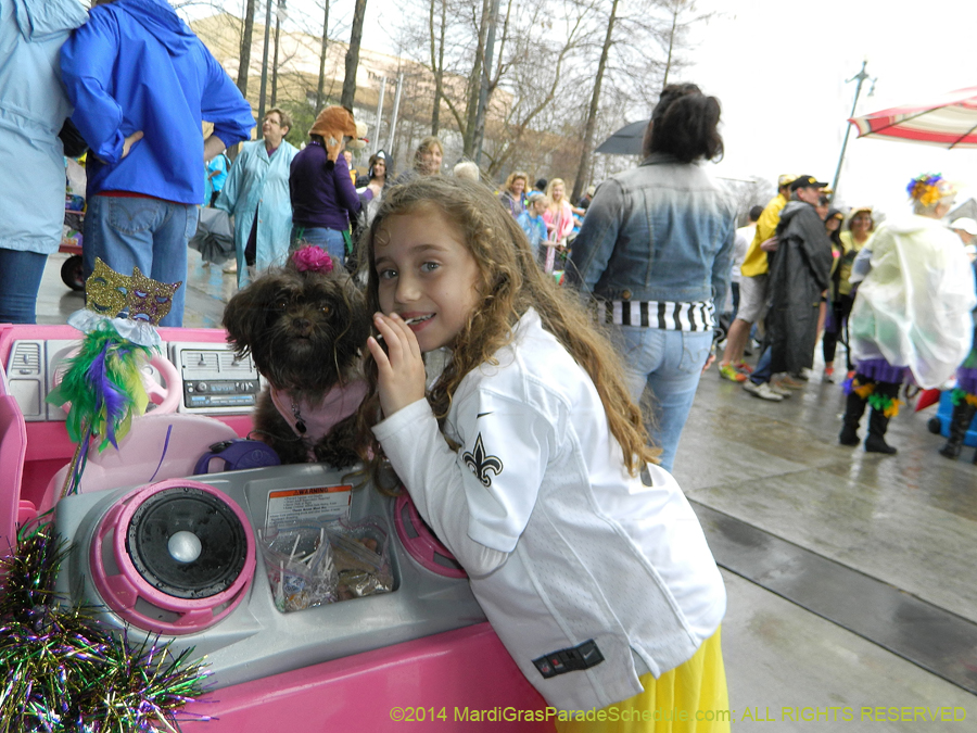 2014-Krewe-of-Barkus-11055