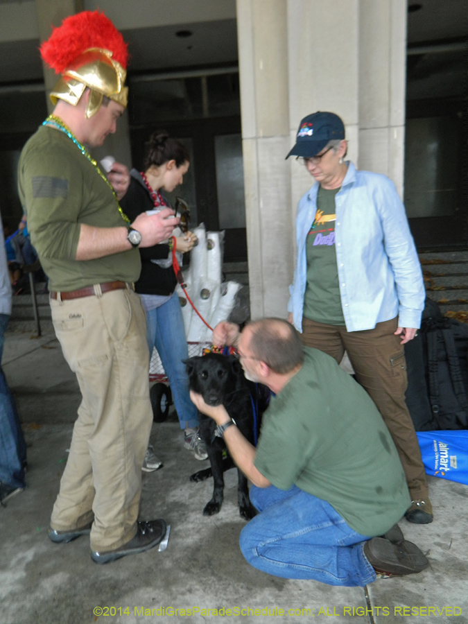 2014-Krewe-of-Barkus-11056