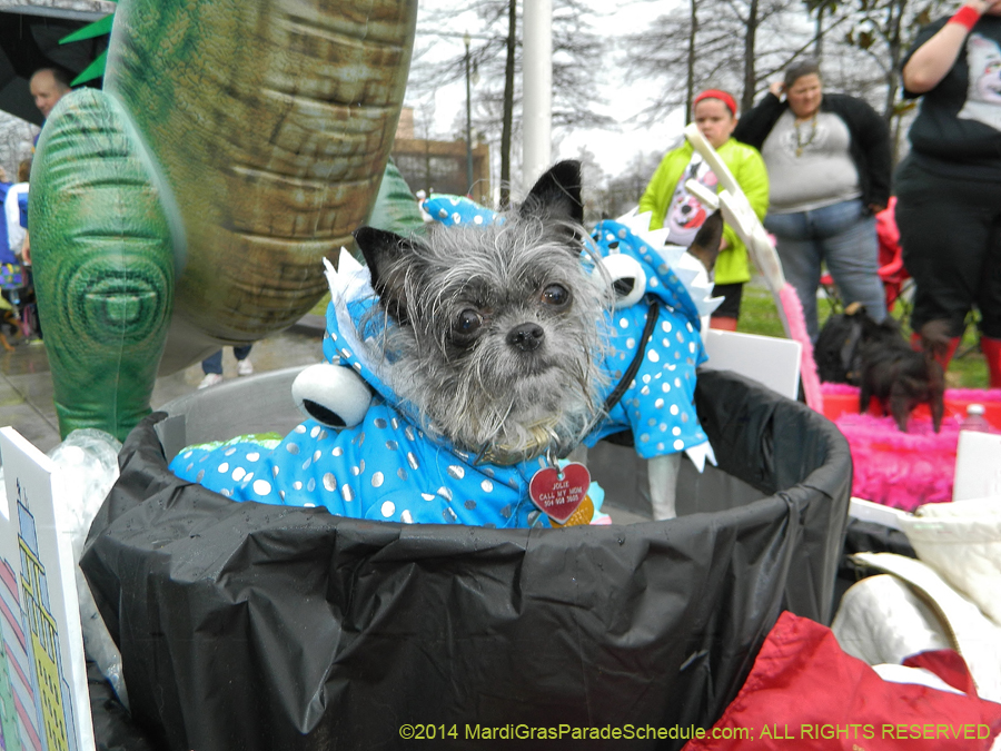 2014-Krewe-of-Barkus-11059