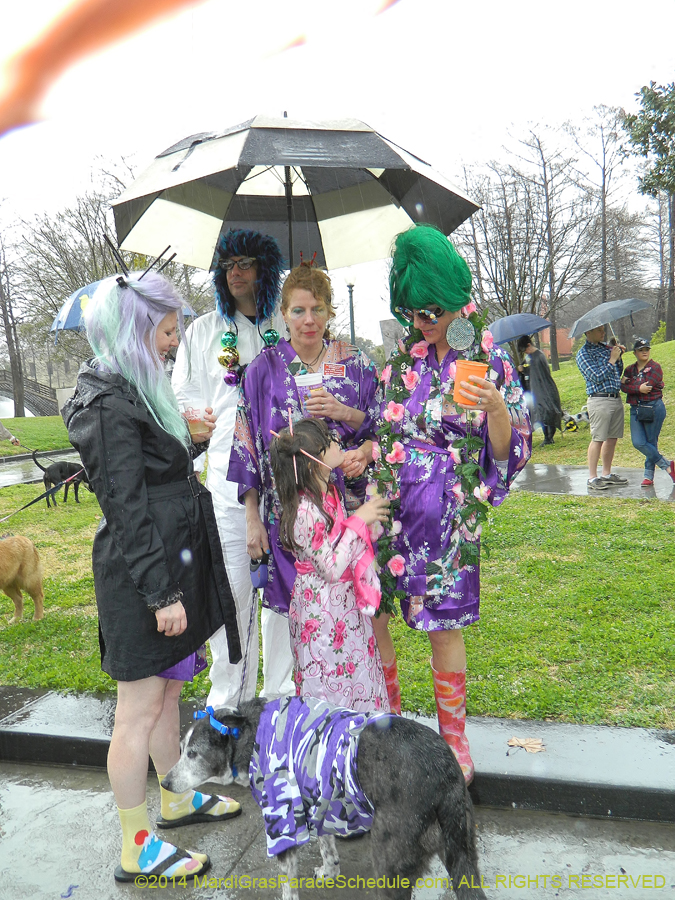 2014-Krewe-of-Barkus-11067