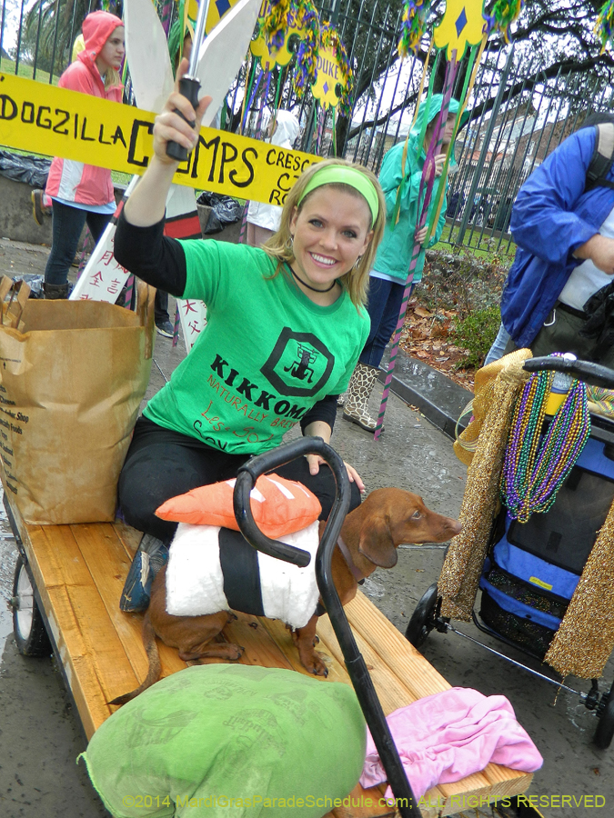 2014-Krewe-of-Barkus-11068
