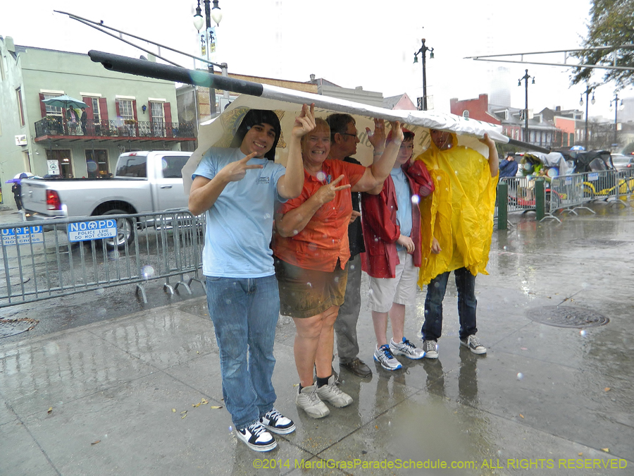 2014-Krewe-of-Barkus-11069