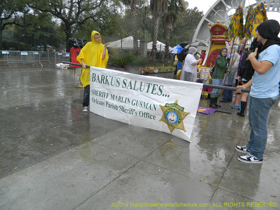 2014-Krewe-of-Barkus-11070