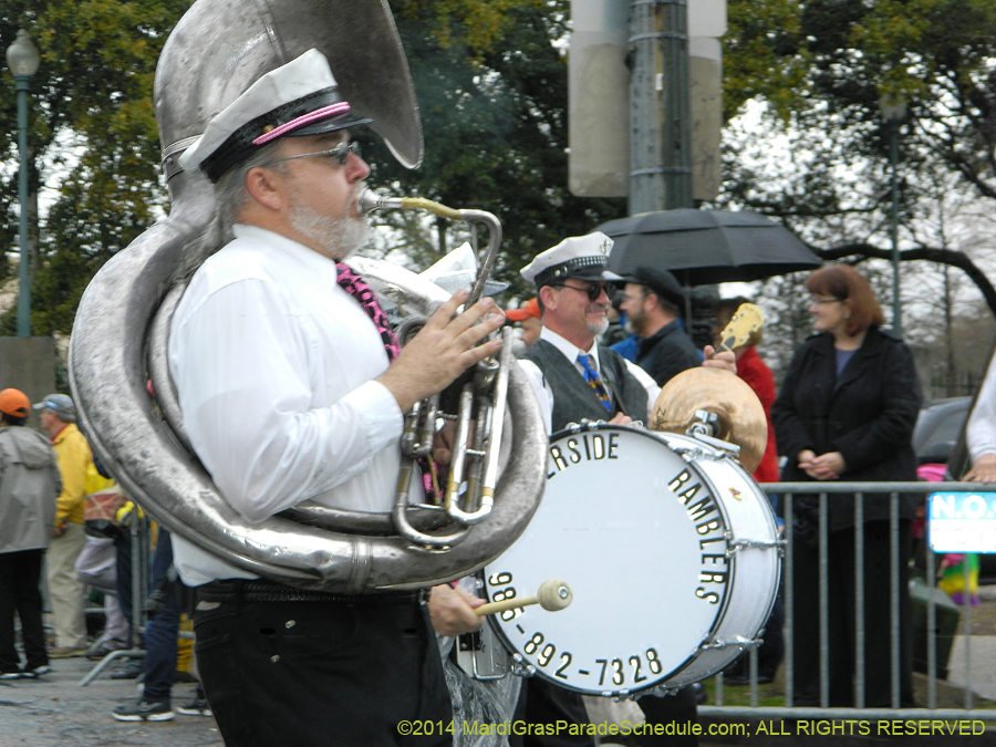 2014-Krewe-of-Barkus-11085