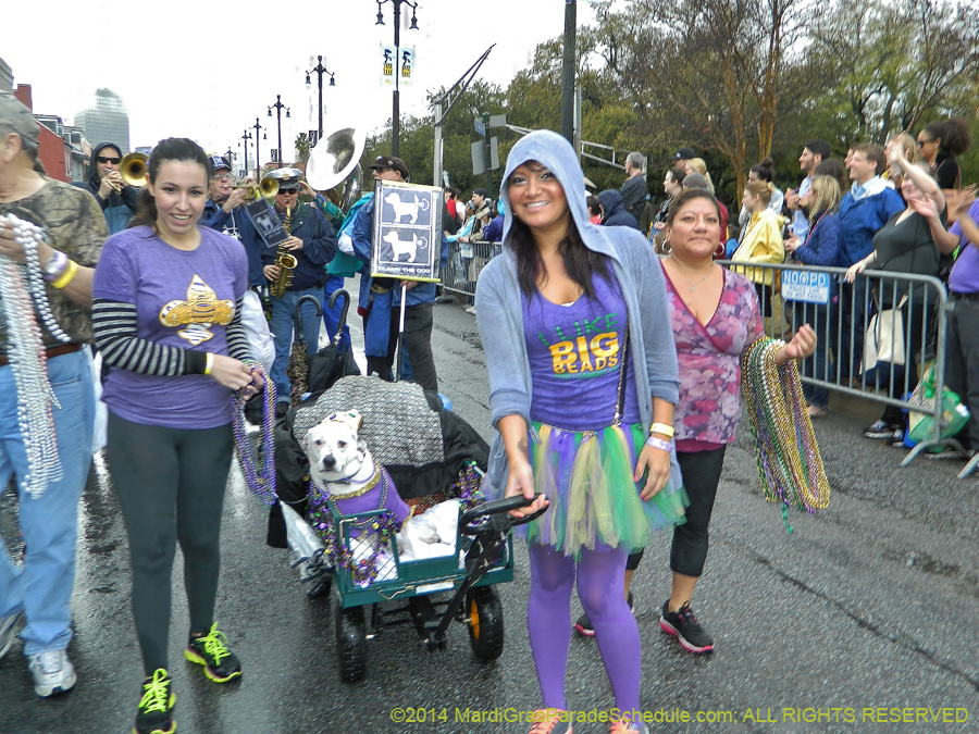 2014-Krewe-of-Barkus-11105