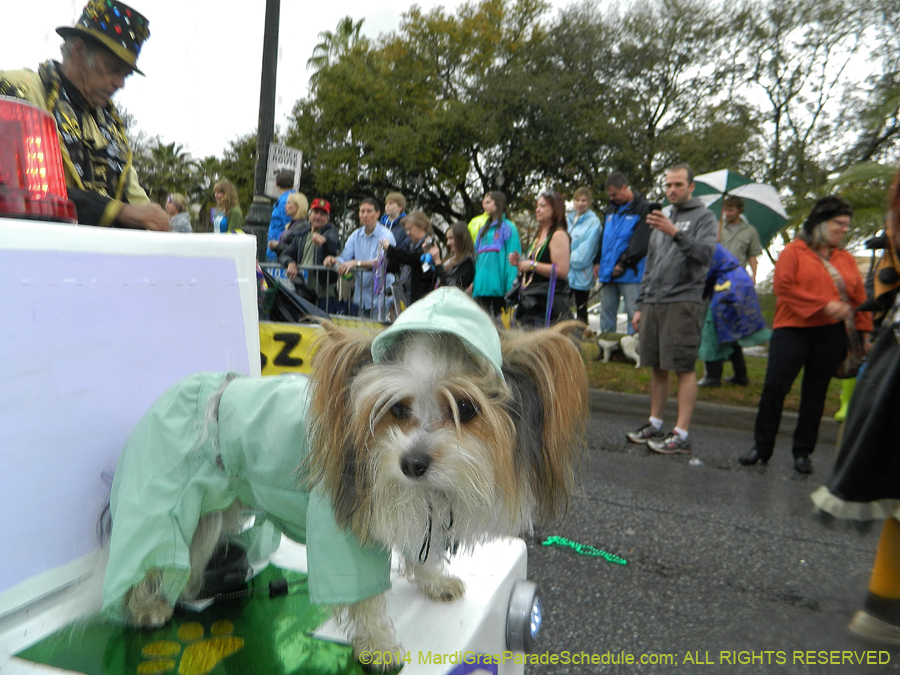 2014-Krewe-of-Barkus-11148