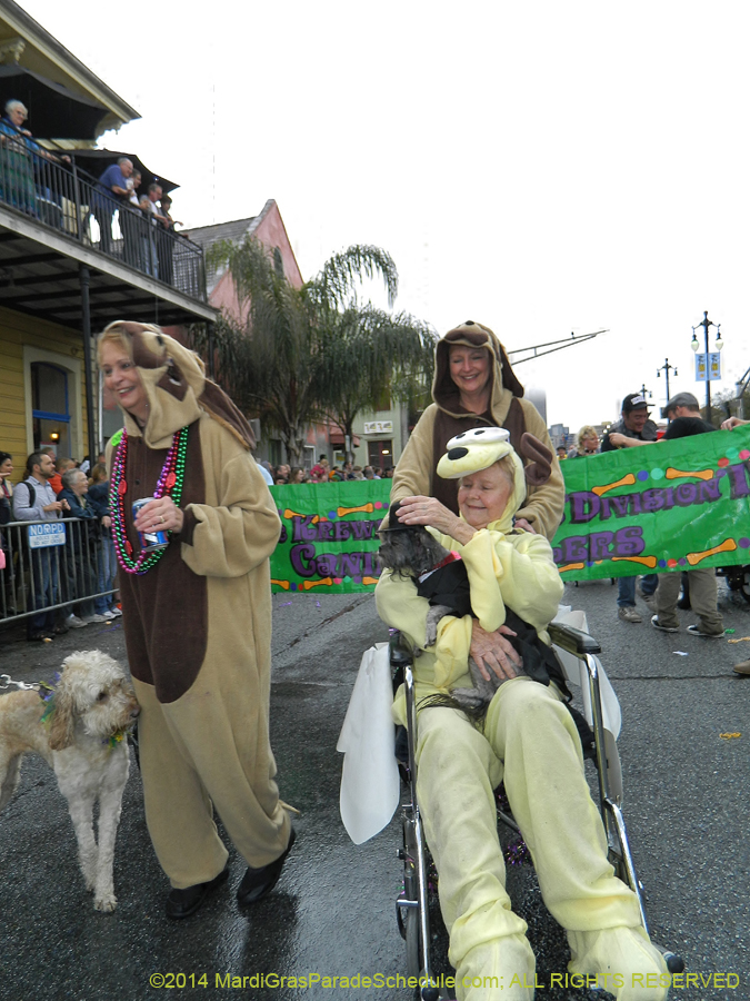 2014-Krewe-of-Barkus-11157