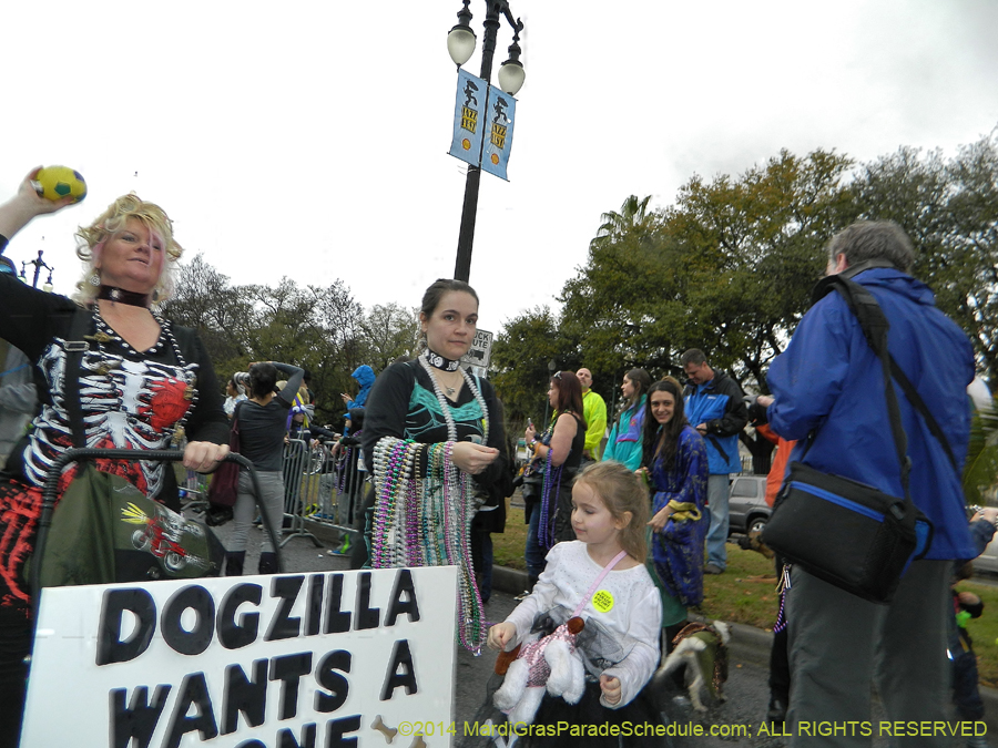 2014-Krewe-of-Barkus-11159