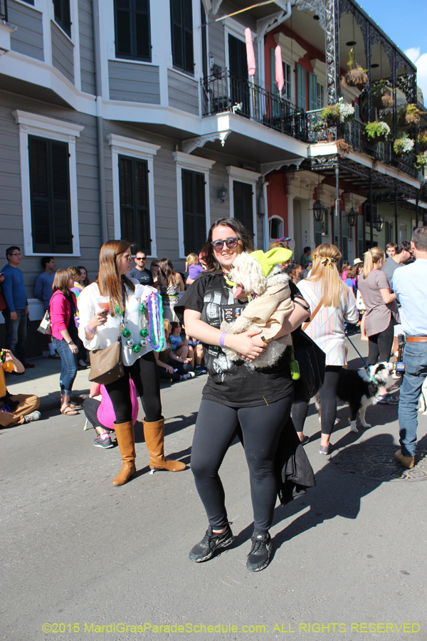 Mystic-Krewe-of-Barkus-2015-12930