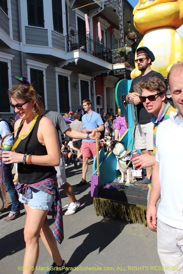 Mystic-Krewe-of-Barkus-2015-12931