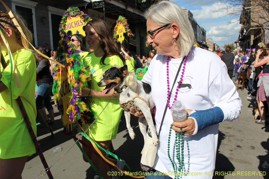 Mystic-Krewe-of-Barkus-2015-12945