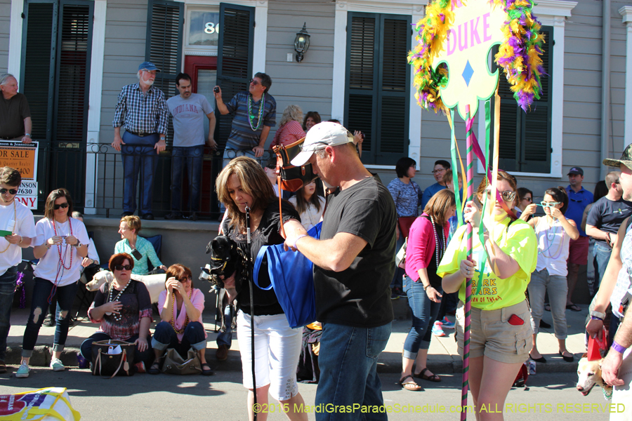 Mystic-Krewe-of-Barkus-2015-12947