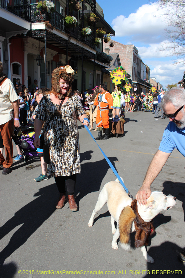 Mystic-Krewe-of-Barkus-2015-12948