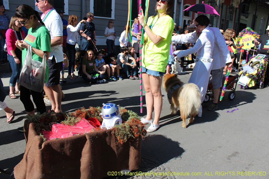 Mystic-Krewe-of-Barkus-2015-12951