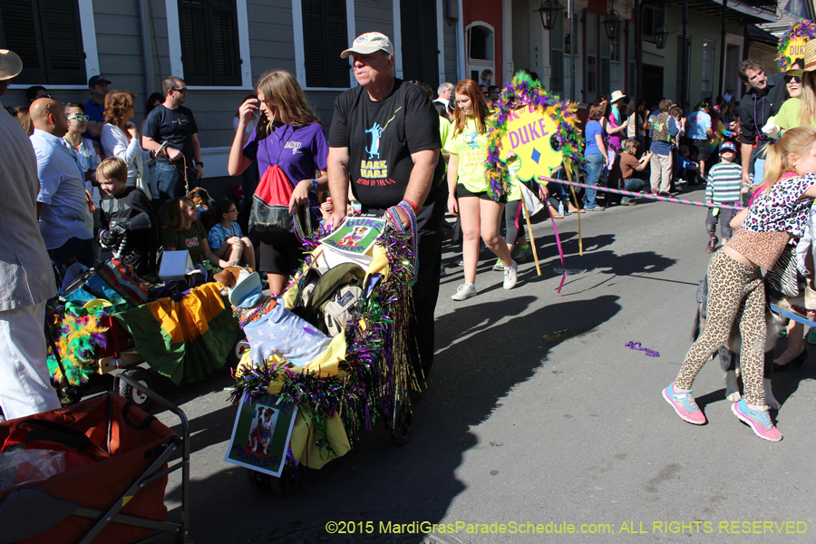Mystic-Krewe-of-Barkus-2015-12952