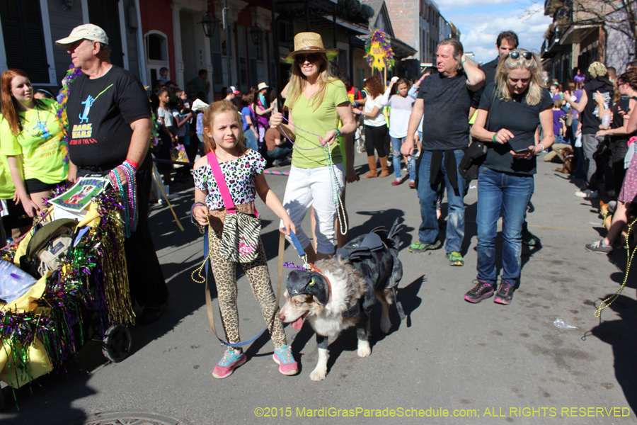 Mystic-Krewe-of-Barkus-2015-12953