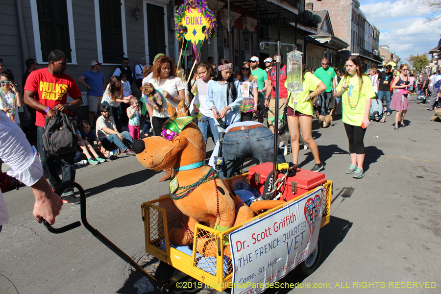 Mystic-Krewe-of-Barkus-2015-12955