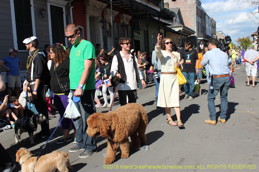 Mystic-Krewe-of-Barkus-2015-12960