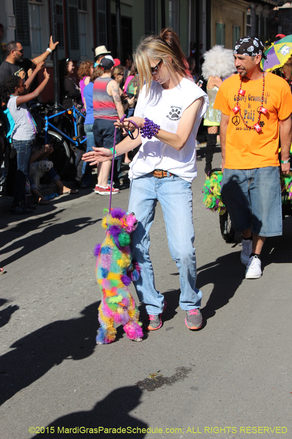 Mystic-Krewe-of-Barkus-2015-12964