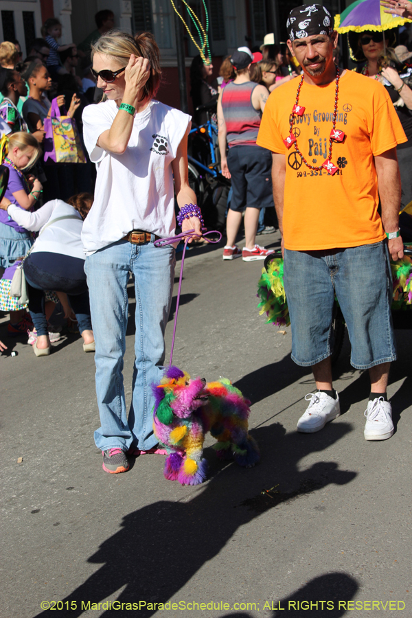 Mystic-Krewe-of-Barkus-2015-12965