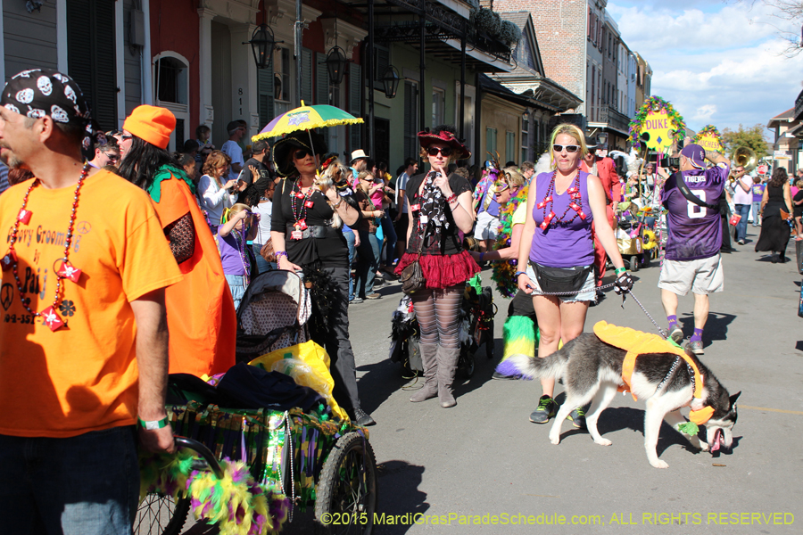 Mystic-Krewe-of-Barkus-2015-12968
