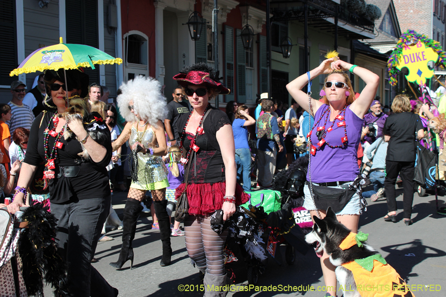 Mystic-Krewe-of-Barkus-2015-12971