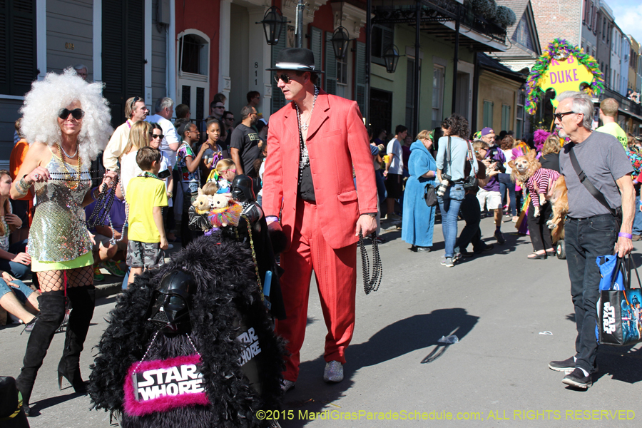 Mystic-Krewe-of-Barkus-2015-12972