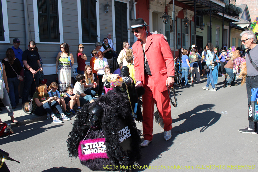 Mystic-Krewe-of-Barkus-2015-12973
