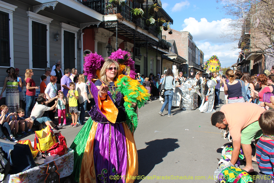 Mystic-Krewe-of-Barkus-2015-12976