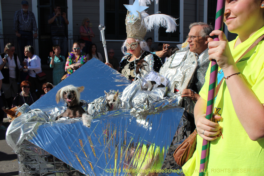 Mystic-Krewe-of-Barkus-2015-12978