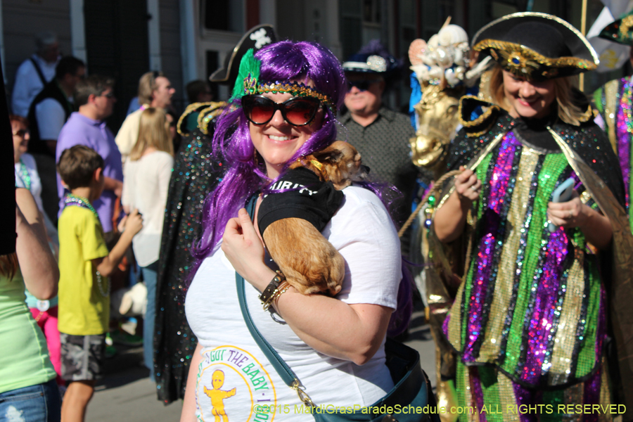 Mystic-Krewe-of-Barkus-2015-12979