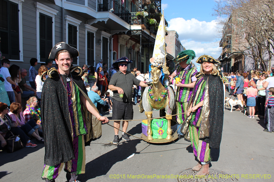 Mystic-Krewe-of-Barkus-2015-12984