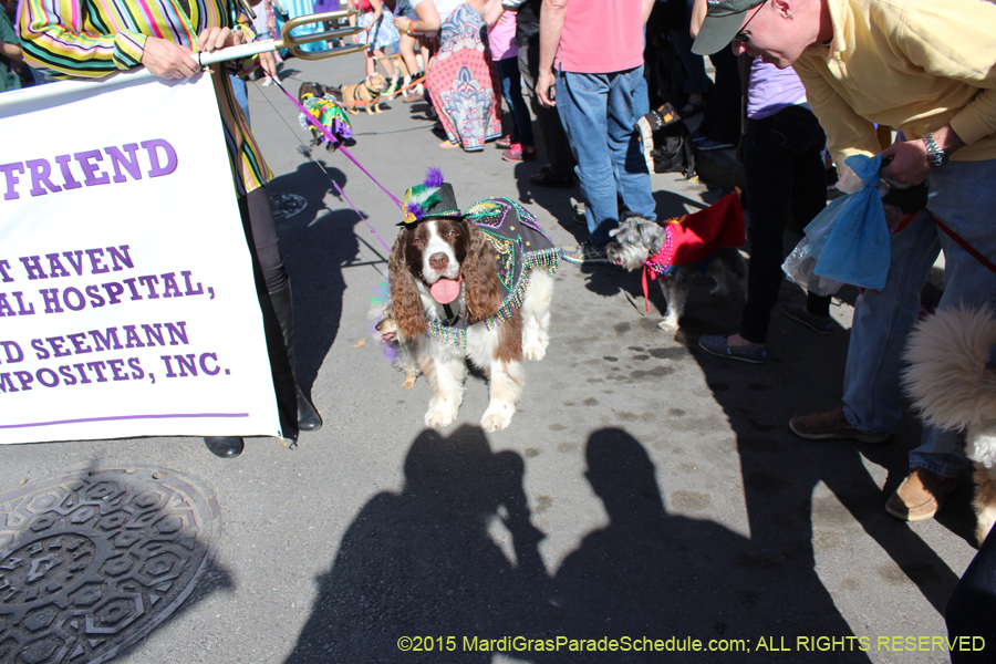 Mystic-Krewe-of-Barkus-2015-12987