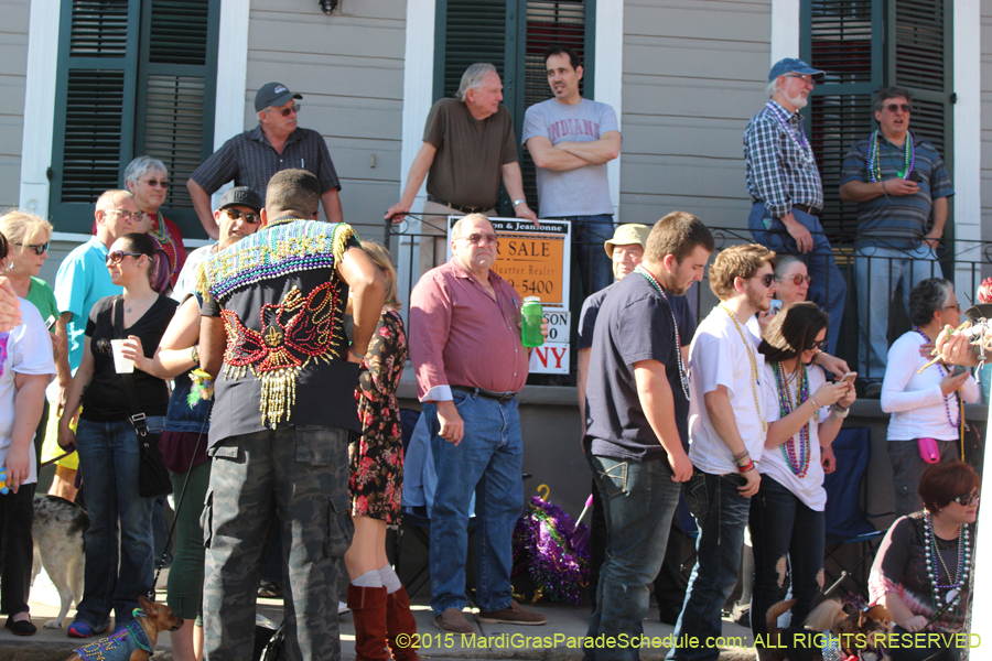 Mystic-Krewe-of-Barkus-2015-12988