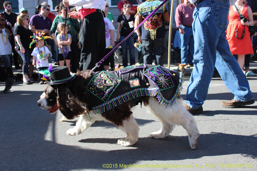 Mystic-Krewe-of-Barkus-2015-12990