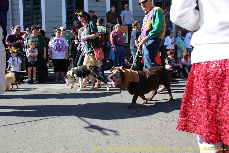 Mystic-Krewe-of-Barkus-2015-12991