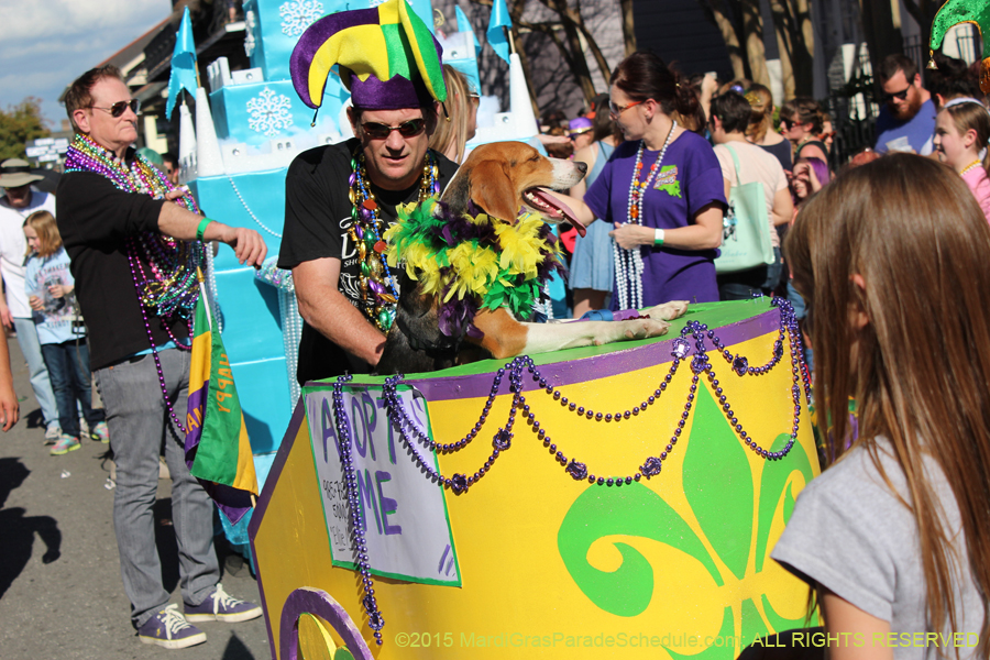 Mystic-Krewe-of-Barkus-2015-12994