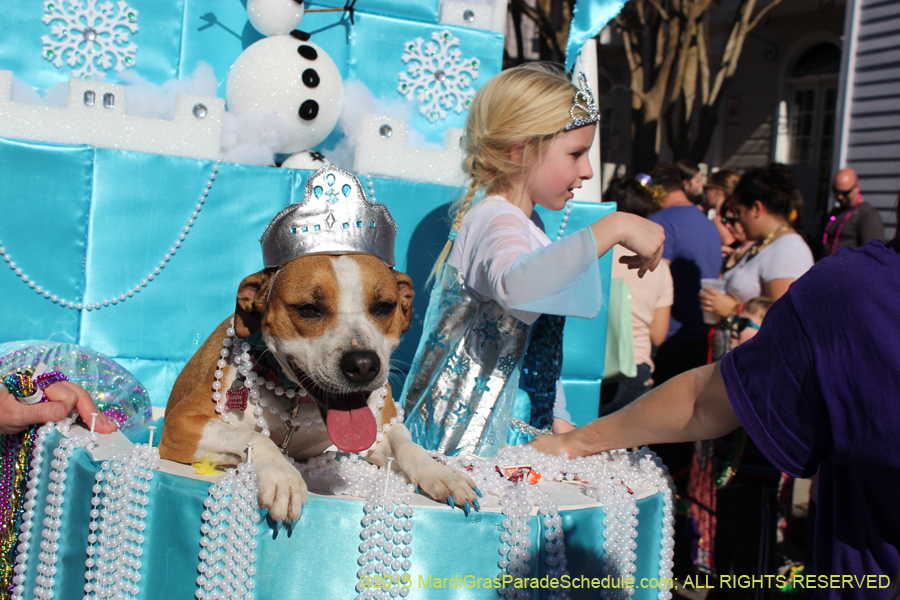 Mystic-Krewe-of-Barkus-2015-12996