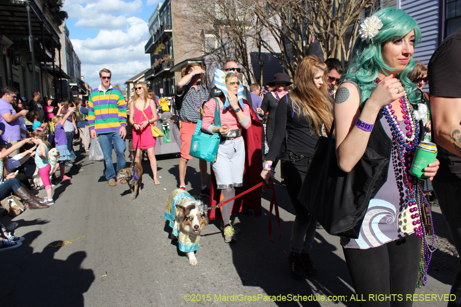 Mystic-Krewe-of-Barkus-2015-12999