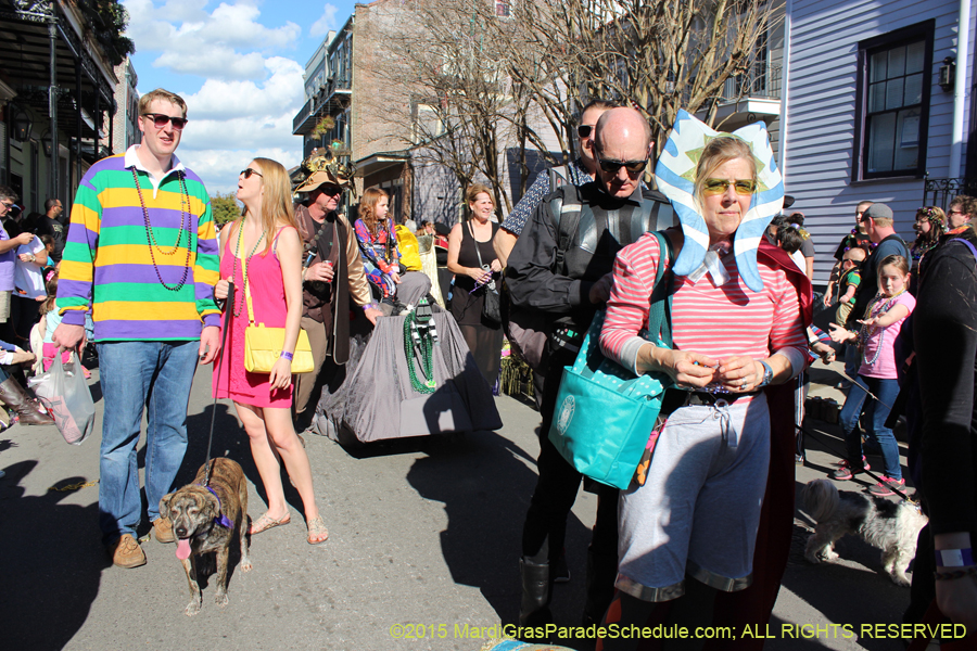 Mystic-Krewe-of-Barkus-2015-13000